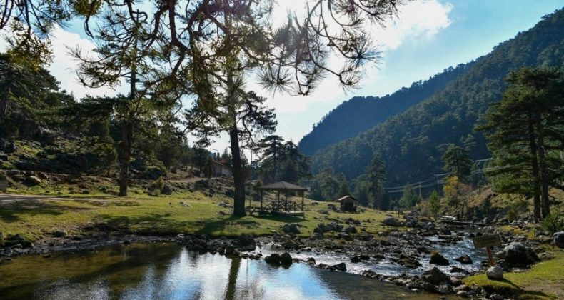 Başpınar Tabiat Parkı tam bir oksijen deposu