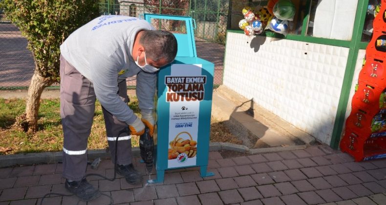 Bayat ekmekler sokak hayvanlarına mama olacak