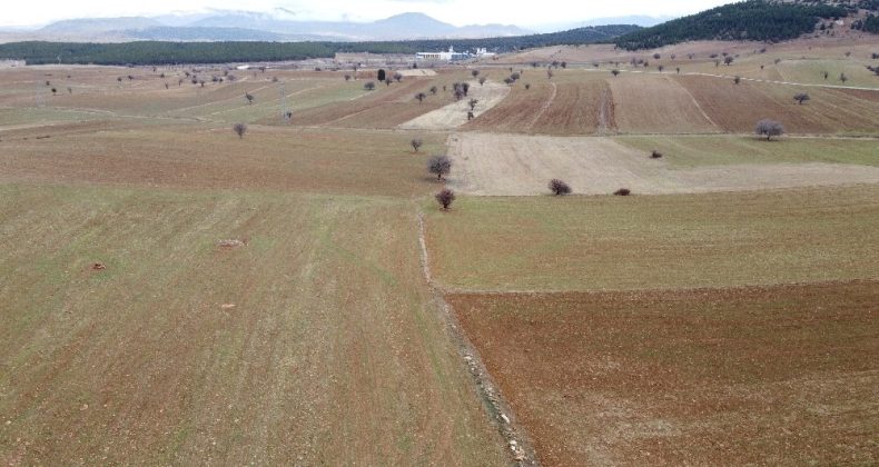 Beyşehir Gölünde su seviyesi azalıyor