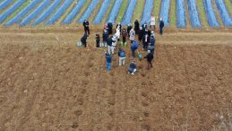 Bilecikli çiftinin yeni geçim kaynağı ahududu ve böğürtlen olacak