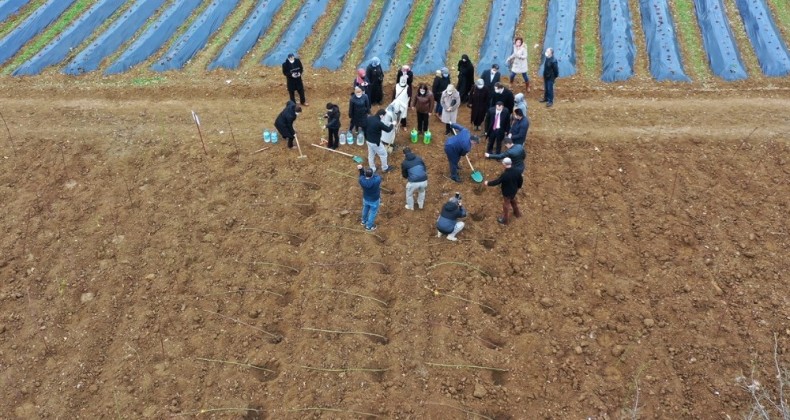 Bilecikli çiftinin yeni geçim kaynağı ahududu ve böğürtlen olacak
