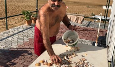 Boş kalan sahillerde definecilerden sonra deniz kabuğu koleksiyoncuları iş başında