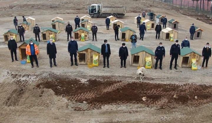 Bu ilçenin yöneticileri sokak hayvanları için seferber oldu