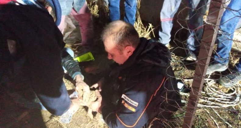 Burdur’da sondaj kuyusuna düşen yavru köpek kurtarıldı