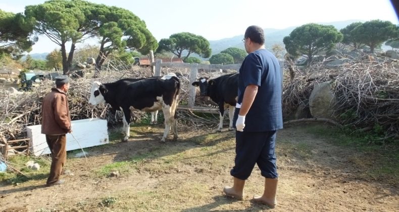 Burhaniye’de bir mahallede daha kısmi karantina uygulanmaya başlandı