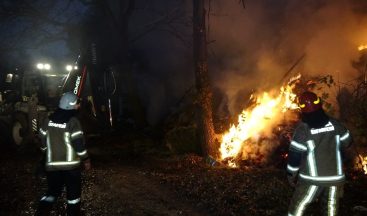 Bursa’da çiftlik alevlere teslim oldu…15 büyükbaş kurtarılamadı