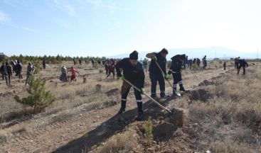 Büyükşehir Ulaşım A.Ş.’den Hatay’a 700 fidan
