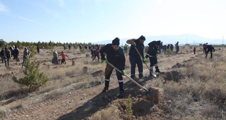 Büyükşehir Ulaşım A.Ş.’den Hatay’a 700 fidan