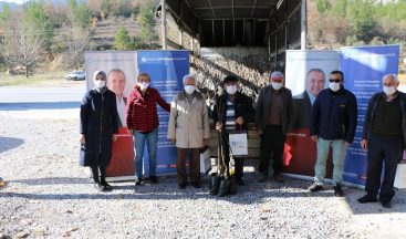 Büyükşehirden 4 ilçeye, ücretsiz 6 bin 500 ceviz fidanı