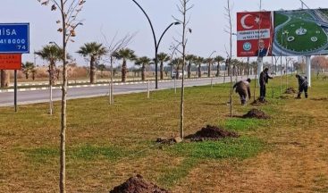 Büyükşehirden ağaçlandırma seferberliği