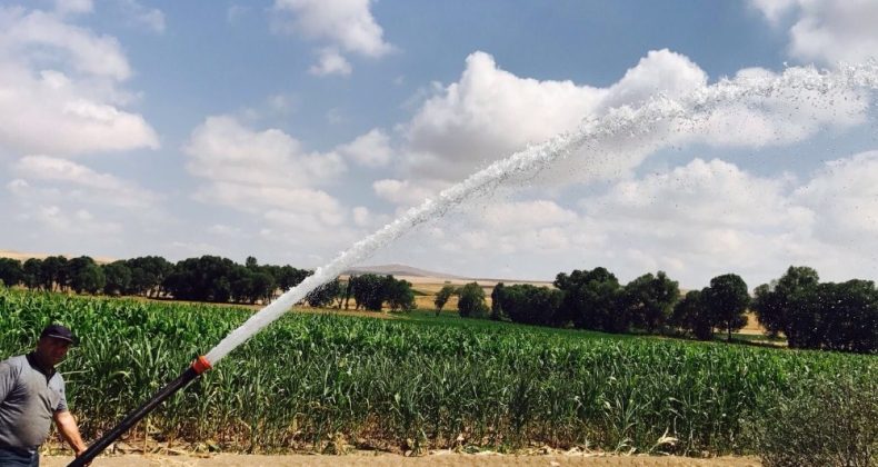 Büyükşehirden tarım ve hayvancılığa 13 milyon TL’lik yatırım