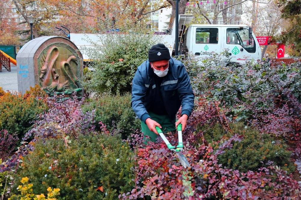 Çankaya Belediyesi Kuğulu Park’ı rengarenk çiçeklerle süsledi