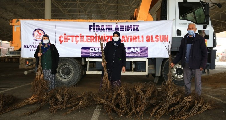 Cevizin başkenti olmak için üreticiye 40 fidan dağıtıldı