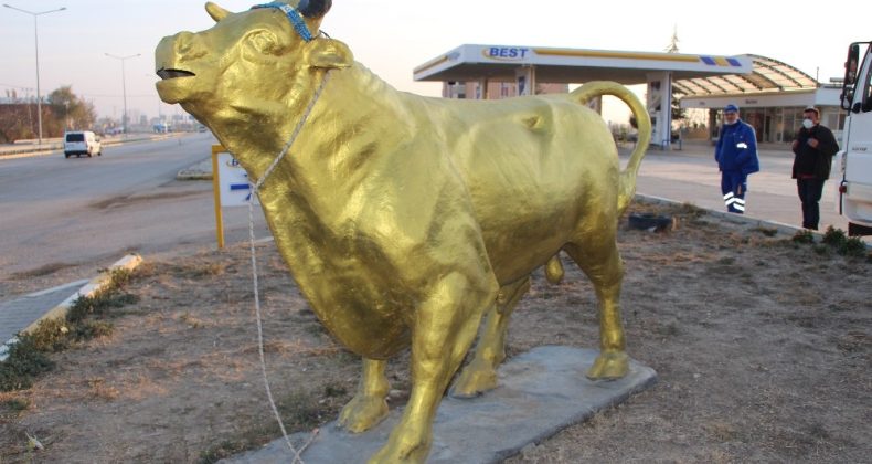 ‘Charging Bull’a Amasya’dan yeni rakip