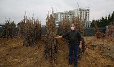 Çiftçiler yüzde 50 hibeli fidanları almaya başladı