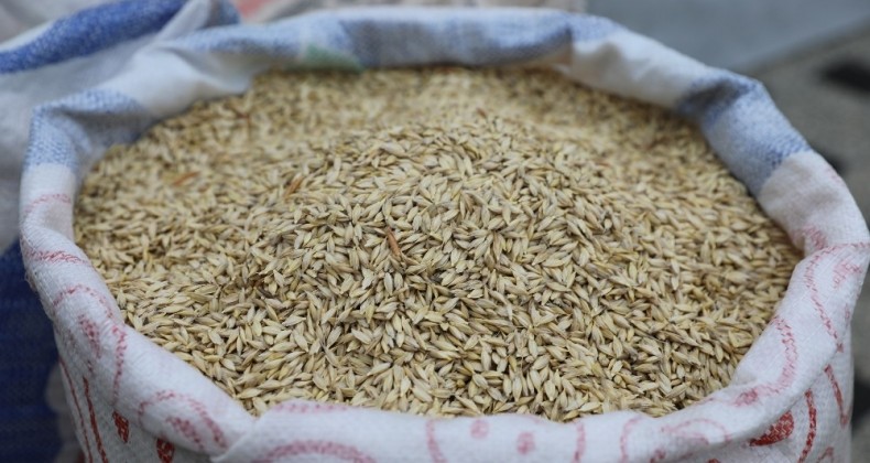 Çiftçiye ‘siyez’ desteği