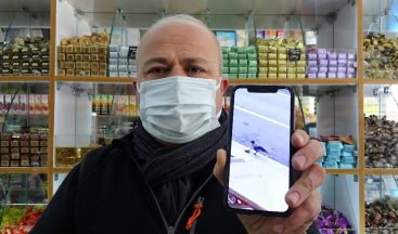 Cips çalan karga böyle yakalandı