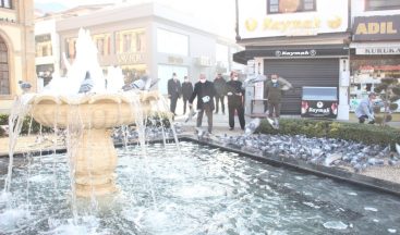 Çorum’da sokak hayvanları unutulmadı