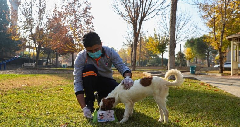 Denizli Büyükşehir Belediyesi can dostlarını unutmadı