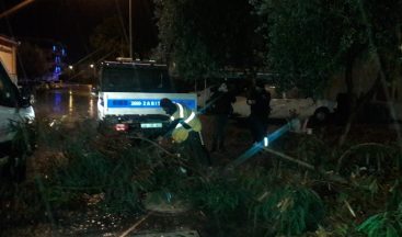 Didim’deki parklarda temizlik çalışmaları devam ediyor