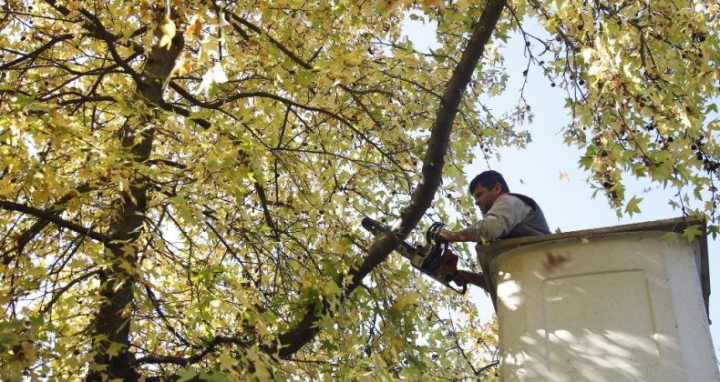 Döşemealtı’na kış bakımı