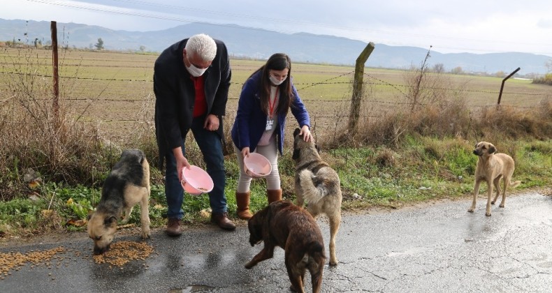 Efeler Belediyesi can dostları unutmadı