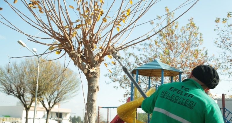 Efeler Belediyesi Tepecik’e el attı