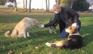Sakarya Emniyet Müdürü Sokak Hayvanlarını Elleriyle Besledi