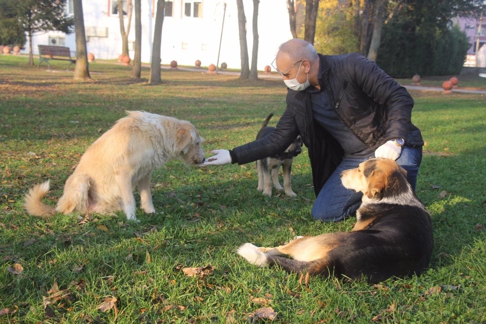 Sakarya Emniyet Müdürü Sokak Hayvanlarını Elleriyle Besledi