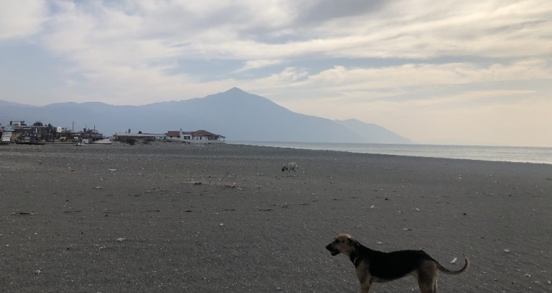 En uzun sahil sokağa çıkma yasağında sessizliğe büründü