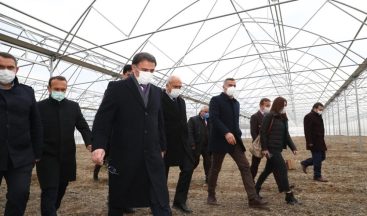 Erbaa, çiçek üretim merkezi olacak