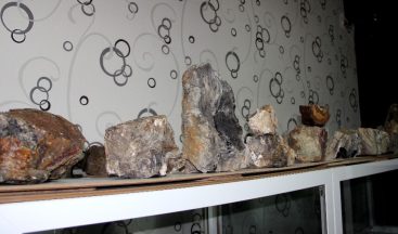 Erzurum’da 160 milyon yıllık taşlaşmış fosil ağaç bulundu