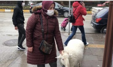Eşinin hediyesi yavru kuzu ile hayatı bir anda değişti