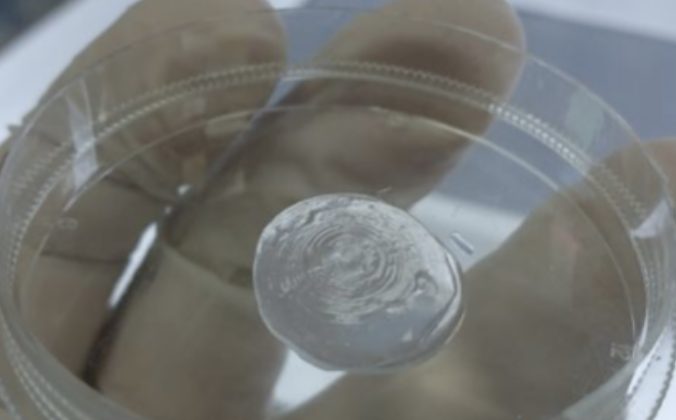 ESOGÜ yapay doku ve biyomalzeme üretmeye hazırlanıyor