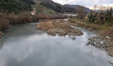 Fabrika atıklarının kirlettiği dere çamur akıyor
