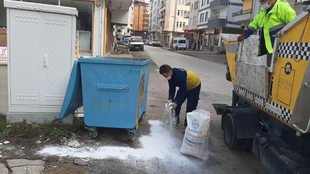 Fatsa’da çöp konteynerleri virüs tehlikesine karşı ilaçlanıyor