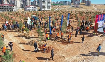 Gaziantep kent merkezinde 3 bin 83 büyük ağaç toprakla buluştu