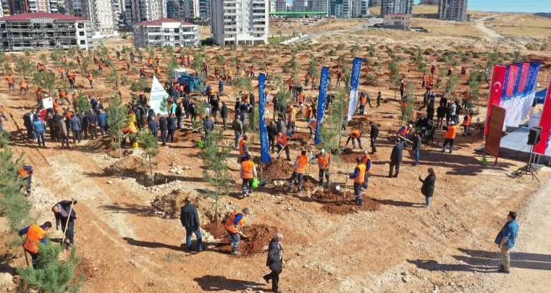 Gaziantep kent merkezinde 3 bin 83 büyük ağaç toprakla buluştu