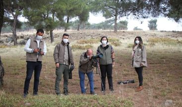 Gaziantep ormanlarındaki kızıl geyik sayısı araştırılıyor