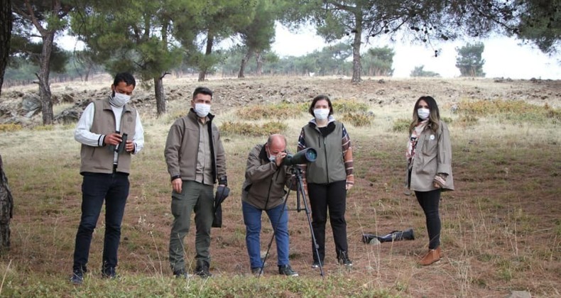 Gaziantep ormanlarındaki kızıl geyik sayısı araştırılıyor