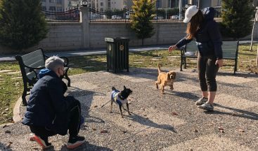 Güneşli günde parklar onlara kaldı