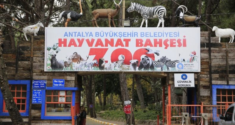 Hayvanat Bahçesi ziyarete kapatıldı, sosyal tesisler faaliyetlerine ara verdi
