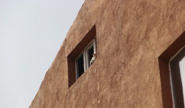 Hırçın kedi, miyavlayarak yardım istedi, kurtarılınca nankörlük etti