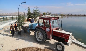 İskele sahil kordonunda peyzaj çalışması