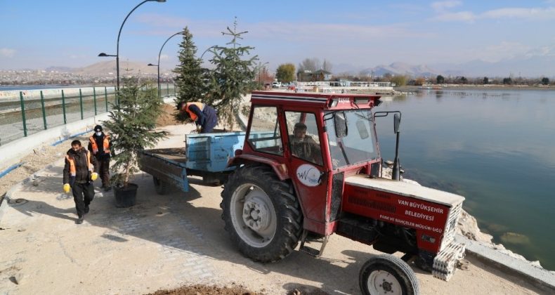İskele sahil kordonunda peyzaj çalışması