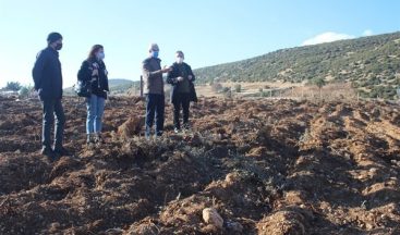 Isparta’da 500 bin lavanta fidanı toprakla buluşuyor