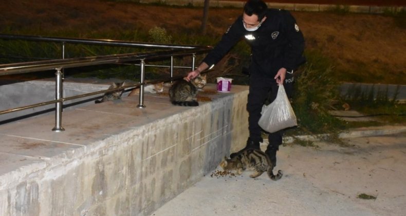İzmir polisinden örnek davranış: Aç kalan hayvanları elleriyle besledi