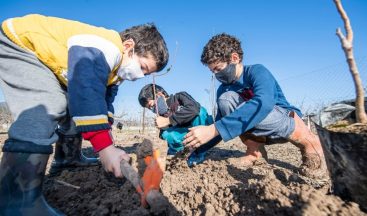 İzmir’de 2020 yılında 363 bin meyve fidanı dağıtıldı