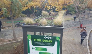 İzmir’deki ’doğa dostu’ durak görenleri şaşırtıyor