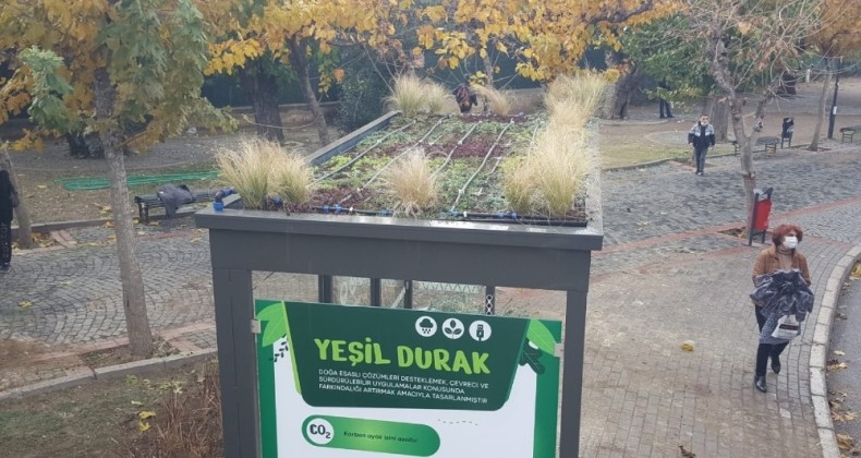 İzmir’deki ’doğa dostu’ durak görenleri şaşırtıyor